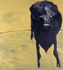 Black Cow|65x65cm|1995